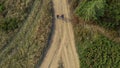 Tourists walking forest road exploring nature mountains path sunny vacation day Royalty Free Stock Photo