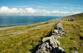 Tourists walking in green romantic peaceful Ireland landscape, The Burren plateau