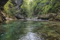 Tourists walking inside the Vintgar Gorge on a wooden path between Bled Lake and Bohinj Lake in Slovenia, Europe.