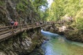 Tourists walking inside the Vintgar Gorge on a wooden path between Bled Lake and Bohinj Lake in Slovenia, Europe.