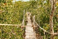 Tourists walking on the Mangrove boardwalk in Mida Creek in Watamu, Kilifi County in Kenya