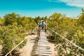 Tourists walking on the Mangrove boardwalk in Mida Creek in Watamu, Kilifi County in Kenya