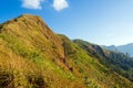 Tourists are walking on the mountain with golden meadows in the foreground and a blue sky background in Thong Pha Phum National