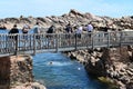 Tourists walking over a wooden bridge in Wyadup Rocks near Yallingup in Western Australia