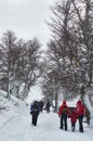 Tourists walking on snowy road surrounded by dry snowy trees after a cable car ride on the Bayo Hill Cerro Bayo