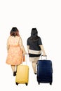 Tourists walking with suitcase together Royalty Free Stock Photo