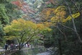 Tourists walking on trails to Minoh waterfall