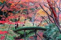 Tourists walking on a wooden arch bridge over a peaceful stream surrounded by beautiful fall colors in Rikugi-en Park Royalty Free Stock Photo