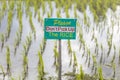 Tourists warning sign at rice fields of Jatiluwih in southeast Bali Royalty Free Stock Photo