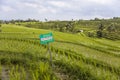 Tourists warning sign at rice fields of Jatiluwih in southeast Bali Royalty Free Stock Photo