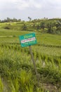 Tourists warning sign at rice fields of Jatiluwih in southeast Bali Royalty Free Stock Photo