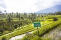 Tourists warning sign at rice fields of Jatiluwih in southeast Bali Royalty Free Stock Photo