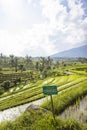 Tourists warning sign at rice fields of Jatiluwih in southeast Bali Royalty Free Stock Photo