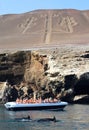 Tourists watch an all-time major dolphins in the Paracas National Park, Peru