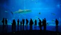 Tourists viewing in front of giant Aquarium