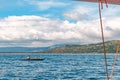 Philippines, Negros Island - Feb 05, 2018: Tourists watch wild dolphins in the sea at Manjuyod White Sand bar