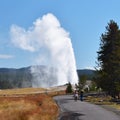 Tourists watching an eruption of Old Faithful Geyser from path,