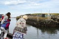 Tourists watching and feeding seals in Eyemouth in Scotland. 07.08.2015