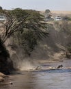 Tourists Watching the Great Migration in Kenya Africa