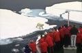 Tourists Watching a Polar Bear