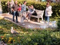 Tourists watching Seagulls at Warnemunde waterfront in Rostock