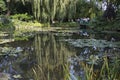 Tourists and Water Lily Gardens