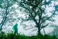 Tourists wear green rain jackets walk in the foggy rainforest