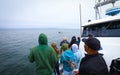 Tourists on a whale watching trip