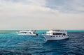 tourists on white boats in the Red Sea Egypt
