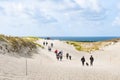 Dead dunes, sand hills in Neringa, Lithuania