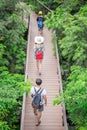 Tourists on the Wooden bridge in the forest