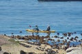 Tourists kayaking at Boulder Beach