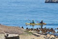 Tourists kayaking at Boulder Beach