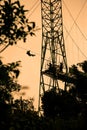 Tourists on zip line in Costa Rica Royalty Free Stock Photo