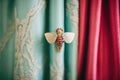 tourmaline brooch on a moth-eaten theater curtain
