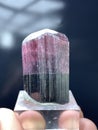 Tourmaline crystal elbaite mineral specimen from skardu pakistan