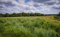 Grass field landscape