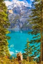 Oeschinensee lake, Swiss Alps, Switzerland