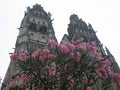 Tours Cathedral with flowers