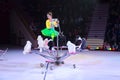 Tours of Moscow Circus on Ice. Trained dogs