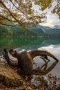 Tovel Lake on Italian Alps. Landscape around Tovel Lake, Italy Royalty Free Stock Photo