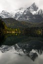 Tovel Lake on Italian Alps. Landscape around Tovel Lake, Italy Royalty Free Stock Photo