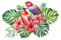 Tow Bird watercolor illustration hand drawing, parrot, tropical leaves and flowers, isolated white background, postcard Royalty Free Stock Photo