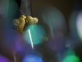 Tow golden hearts symbol of love on a neck of champagne bottle, abstract Saint Valentine background. Blurred colorful glass in Royalty Free Stock Photo