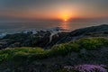 Towan Headland in North Cornwall at Newquay Fistral Beach, England Royalty Free Stock Photo