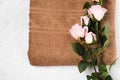 Towel brown bath flowers