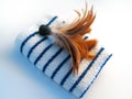 Towel and Feather Brush Royalty Free Stock Photo