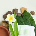 Towel, flowers, stones and green leaves and tubes