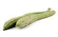 Towel gourd Royalty Free Stock Photo