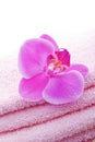 Towel with pink orchid flower Royalty Free Stock Photo